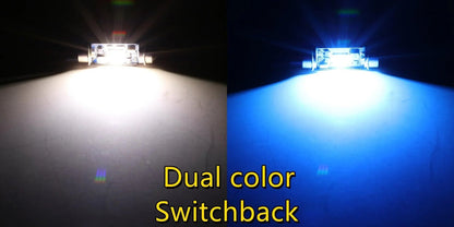Lot de 2 bicolore à commutation 31 mm/36 mm/39 mm/41 42 mm 1860CSP 6 500 K blanc froid& 5 000 K Natural blanc LED Festoon