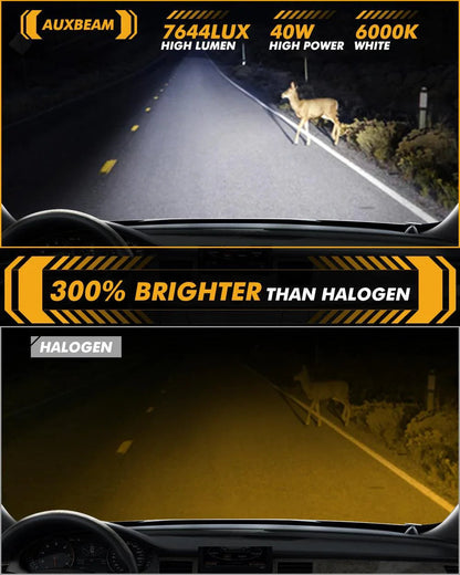 2.5″ 80 W Bi-LED lentille projecteur antibrouillard 6 000 K HD Lens pour Toyota/Honda | lot de 2 – vue 4 – NOVADOMIO