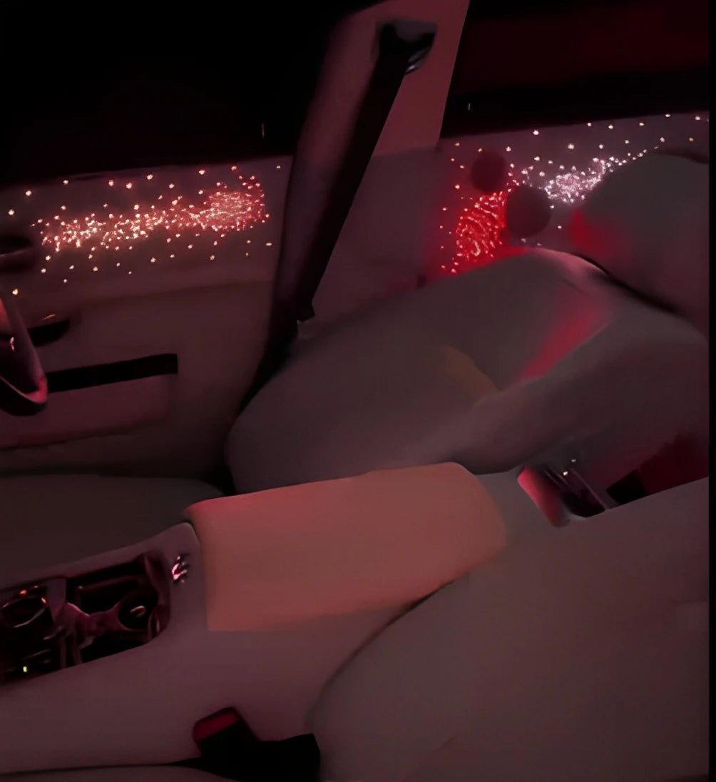 Kit ciel étoilé fibre 0,5 mm – toit et portières – photo 6
