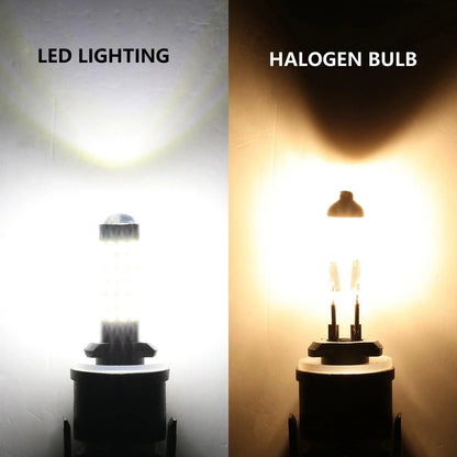 880 885 890 899 892 893 LED antibrouillard/DRL ampoules 6 W 2 000 lm 6 500 K blanc – 2 ampoules – vue 6 – NOVADOMIO