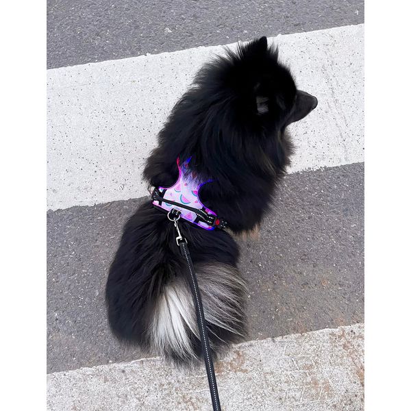 Harness Light5 Doggo Led Harness, Pink – vue 7