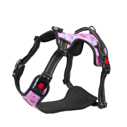 Harnais LED Light5 Doggo, Pink – vue 11 – NOVADOMIO
