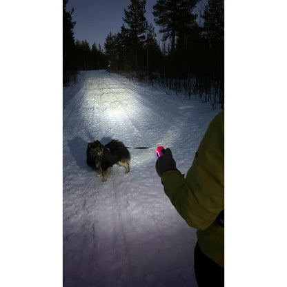 Harnais LED Light5 Doggo, Pink – vue 20 – NOVADOMIO
