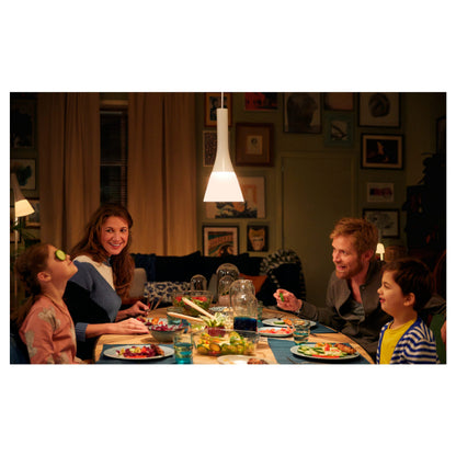 Suspension Philips Hue Ensis WCA 79 W, 2000-6 500 K – vue 6 – NOVADOMIO