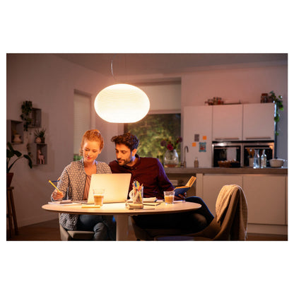 Suspension Philips Hue Flourish WCA 31 W, 2000-6 500 K – vue 6 – NOVADOMIO