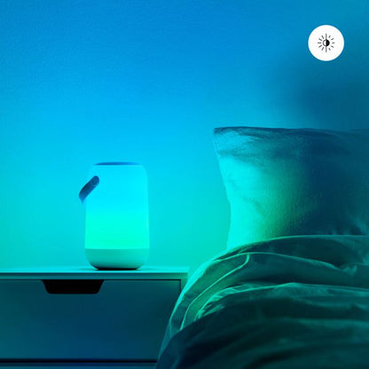Détecteur de mouvement Philips Hue, Outdoor – vue 6 – NOVADOMIO